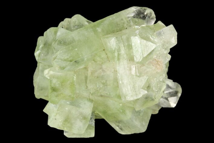Green Apophyllite Crystal Cluster - India #126115